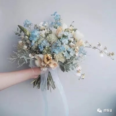 植物大战僵尸全明星360版安装包下载
